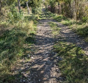 Les coteaux de Cournon, du puy d'Anzelle vers le puy de Bane - Cournon-d'Auvergne - 3