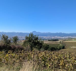 Les coteaux de Cournon, du puy d'Anzelle vers le puy de Bane - Cournon-d'Auvergne - 4