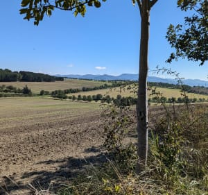 Les coteaux de Cournon, du puy d'Anzelle vers le puy de Bane - Cournon-d'Auvergne - 5
