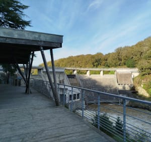 Sud-Est vendéen autour de Mervent - Emilie - 5