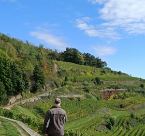 Circulaire dans les vignes et la Croix de Mission - Guebwiller - 3