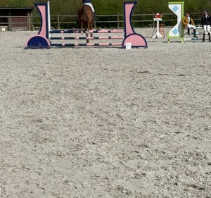 Villeneuve d’Ascq - Haras du Melantois - Villeneuve-d'Ascq - 3
