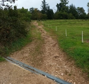 Petite balade en forêt de Raves - Raves - 3