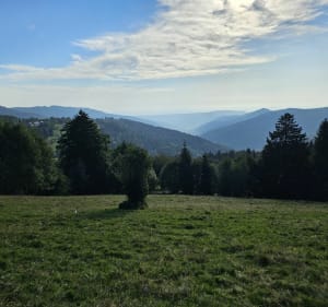 Boucle Linthal, Petit Ballon,  Boenlesgrab,  Linthal - Linthal - 4