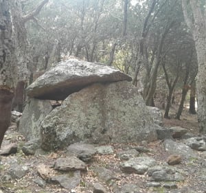 Tour et Dolmen - Maureillas-Las-Illas - 5