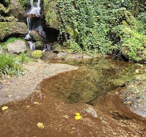 Les Amalrics et croix de la Roque - Saint-Amans-Soult - 3