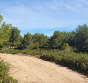 Vallon du Pas de la Fos - Ensuès-la-Redonne - 3