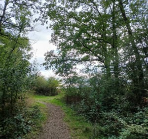 Dimanche entre Heillecourt et Fleville - Heillecourt - 3