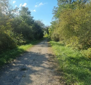 Chemin vert à Buthiers - Buthiers - 3