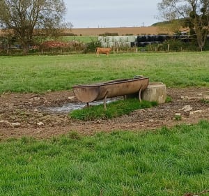 Dimanche entre Heillecourt et Fleville - Heillecourt - 4