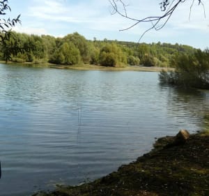 Tour ouest du Lac de Saint Cassien - Les Adrets-de-l'Estérel - 4