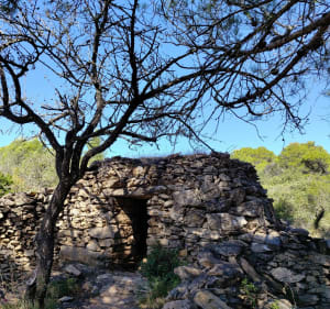 Carrière du Roy - Caunes-Minervois - 3