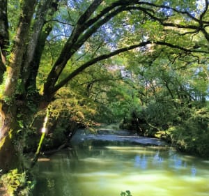 Pont de Béren par Susmiou - Sus - 3
