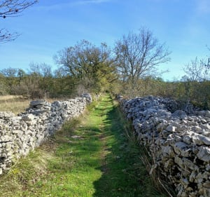 Randonnée de Theminettes en passant par Saint Simon et Sonac - Théminettes - 5