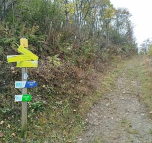 Le Sapin, avec retour par le mini-golf - Saint-François-Longchamp - 5