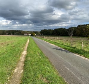 Balade Bois d’Ardeau - Forges-les-Bains - 3
