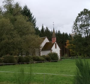 Boucle en forêt et rocher du Calice - Guntzviller - 5