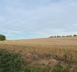 Balade entre Verchain, Monchaux et Maing - Verchain-Maugré - 3