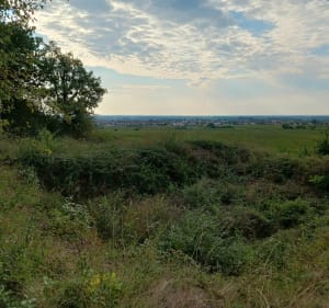 Source de Crosne à partir de Marsannay - Marsannay-la-Côte - 3
