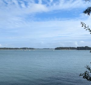 De Larmor Baden jusqu'aux Sept îles - Larmor-Baden - 3