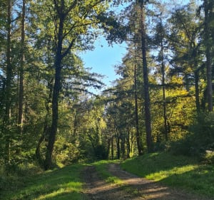 Tour du lac Saint Laurent - Elise - 3