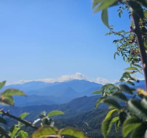 Boucle sur Chiatra - Pianello - 3