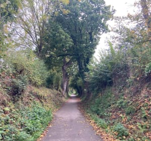 Circuit à la découverte des petits chemins dans la ville - Saint-Lô - 3