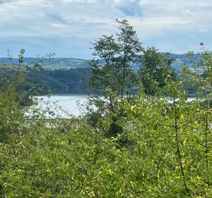 Tour de la Loire - Saint-Jodard - 5