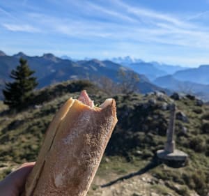 Pointe de Miribel - Onnion - 4