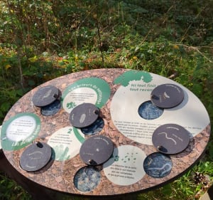 Le Pic des Fleurides et Comté - Sallèdes - 4