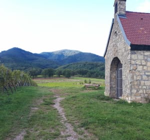 La Chapelle St-Morand - Cernay - 3