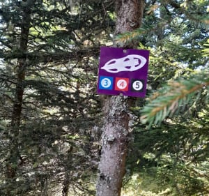 Rondleiding over het Arselle-plateau - Chamrousse - 3