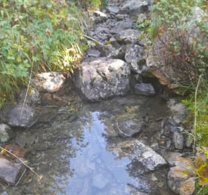 Rondleiding over het Arselle-plateau - Chamrousse - 4