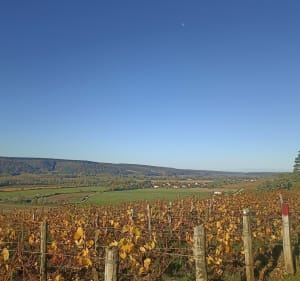Superbe point de vue sur le Barsuraubois - Ailleville - 3