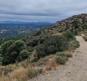 Randonnée au-dessus du Lavandou - Bormes-les-Mimosas - 5