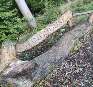 Balade entre forêt et campagne du côté d'Henriville - Seingbouse - 3