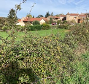 La Tournuscimes, au départ de Chardonnay - Chardonnay - 3