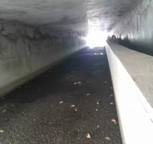 Le Canal de Perpignan - Perpignan - 5