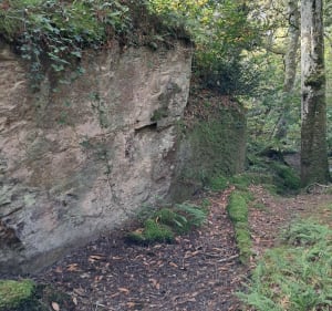 Balade autour de la grée des landes - MELANIE - 4