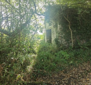 Chapelle Notre-Dame de Piétat et alentours - Pardies-Piétat - 4
