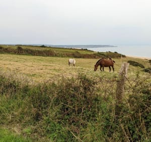 Rando de Biville, par le Petit Thot - La Hague - 5