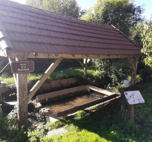 La balade des vitraux à Cazenac - Beynac-et-Cazenac - 5