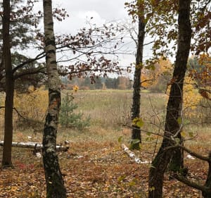 Pętla rezerwat przyrody Balczewo - Balczewo - 5