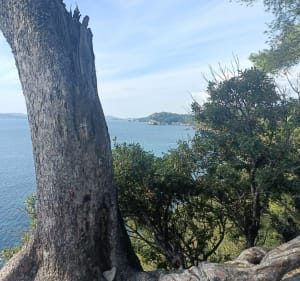Sentier littoral du Pin de Galle à La Garonne - Le Pradet - 3