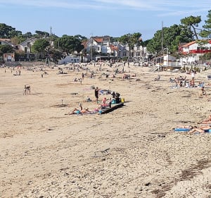 Chemin des douaniers à Saint-Palais-sur-Mer - Denis - 5