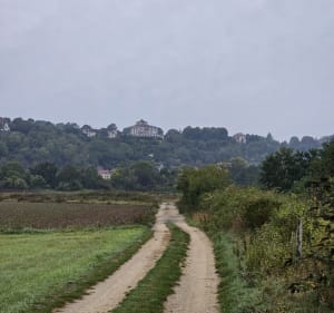 Balade en bord de seine autour de Mantes-la-Jolie - Mantes-la-Jolie - 5