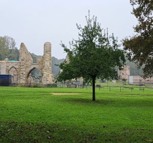 Plateau de Californie, abbaye de Vauclair - Craonne - 5