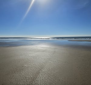 Rando automnale à l'île de ré - Sainte-Marie-de-Ré - 5