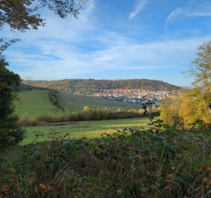Circuit du renard, au dessus de Fameck - Fameck - 5