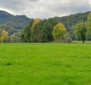 Entre boersch et ottrot - Obernai - 3